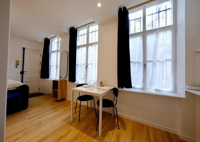Apartament - Magnifique Rouen
